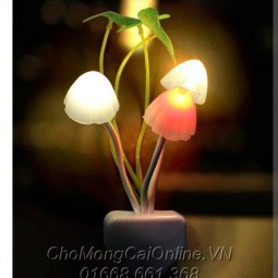 Đèn nấm Avata2