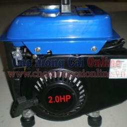 Máy phát điện DS 950