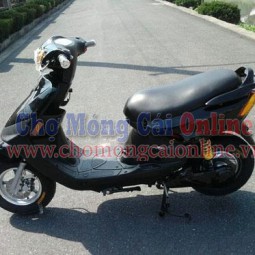 Xe máy điện Scooter nhỏ gọn XD0021