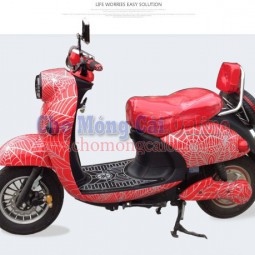Xe máy điện thời trang phong cách XD0025