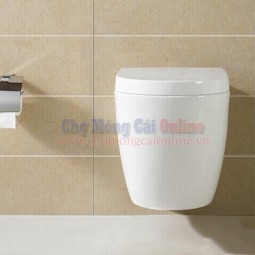 Bàn cầu vệ sinh két âm tường TB007