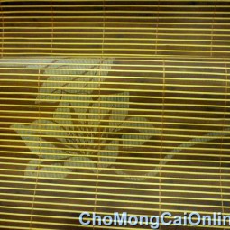 Chiếu tre cao cấp (F4 - 1,6m)