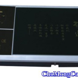 Bếp từ PESKOE - F24 (bạc)