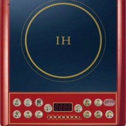 Bếp từ PESKOE - F28
