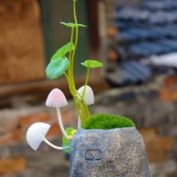 Đèn ngủ cảm ứng avata
