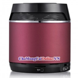 Loa EARSON (ER-162) Bluetooth