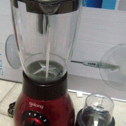 Máy xay sinh tố GeLong