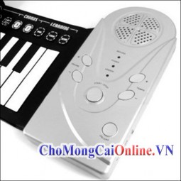 Đàn Piano bàn phím mềm loại 49 keys (Roll Piano) - Giúp ươm mầm tài năng