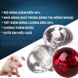Đèn sưởi nhiệt hồng ngoại cho gia súc Dr.Pig