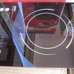 Bếp từ đa năng SANYO SS18