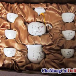 Bộ ấm chén AC1016