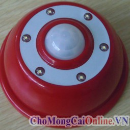 Đèn Led Cảm Ứng
