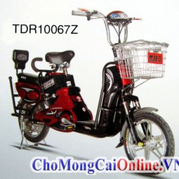 Xe đạp điện bình 48V, bánh 18, tốc độ tối đa 35Km/h (TDR10067Z)