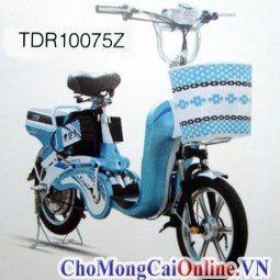 Xe đạp điện bình 48V, bánh 14, tốc độ tối đa 35Km/h (TDR10075Z)