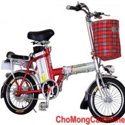 Xe đạp điệnTDR206Z(16)