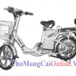 Xe đạp điện Yamaha
