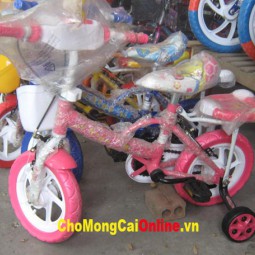 Xe đạp trẻ em 1238