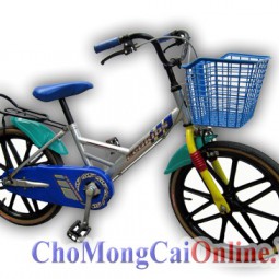 Xe đạp cho trẻ trên 7 tuổi