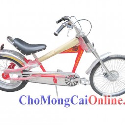 Xe đạp độc