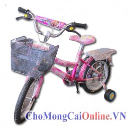 Xe đạp trẻ em xd-008
