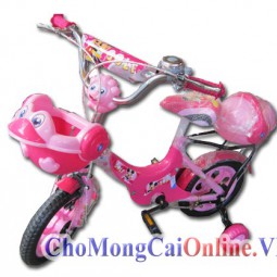 Xe đạp trẻ em xd-012