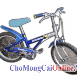 Xe đạp trẻ em xd-015