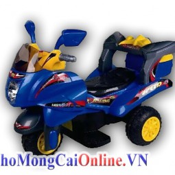 Mô tô điện 3 bánh 268