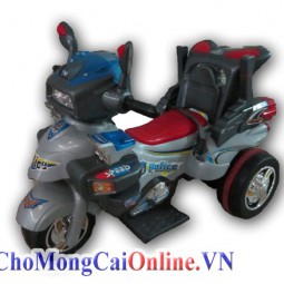Mô tô điện 3 bánh 6833
