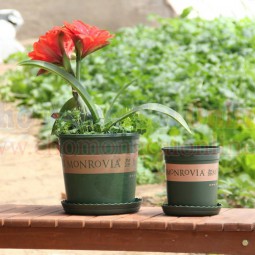Chậu trồng cây MONROVIA TBNN012