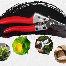 Kéo cắt tỉa hoa cành cây TBNN004