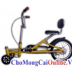 Xe đạp giảm cân 3 bánh