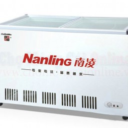 Tủ đông chính hãng SC/SD - 288