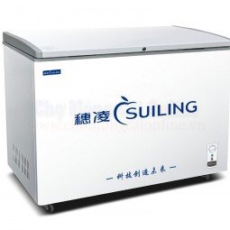 Tủ đông một cánh BD-159-1
