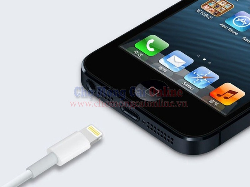 cap sac ip5 chomongcaionline (3)