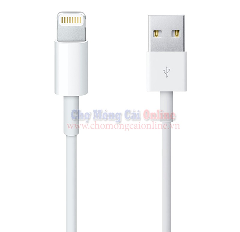 cap sac ip5 chomongcaionline (6)