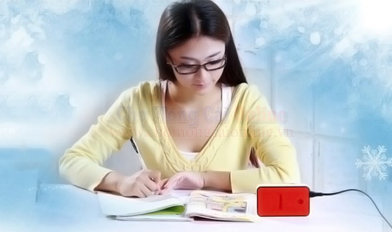 quat suoi mini heater chomongcaionline (10)