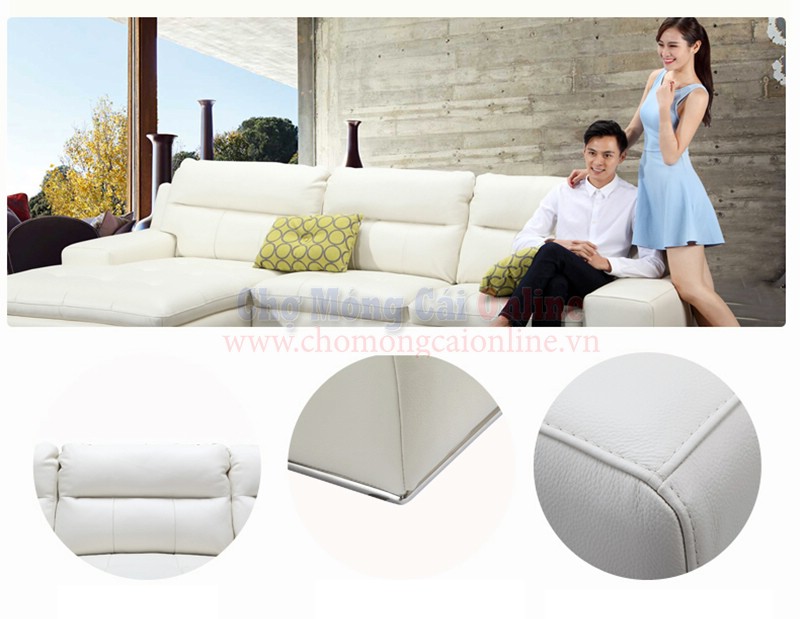 Bo-Sofa-da-Zonita-cao-cap9