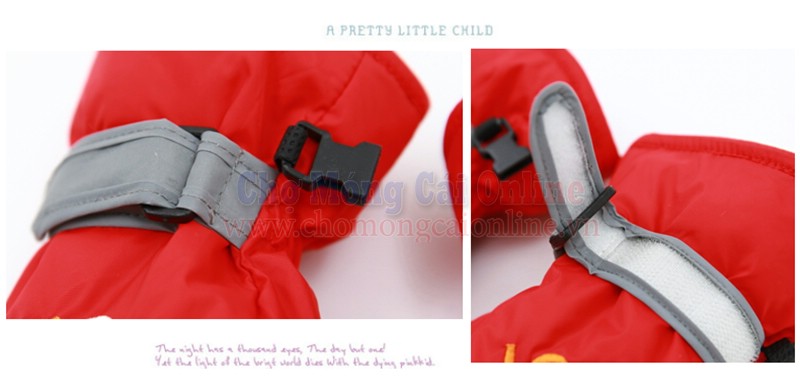 Cloud Zoom small image