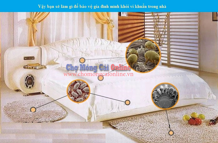 may hut bui diet khuan 1