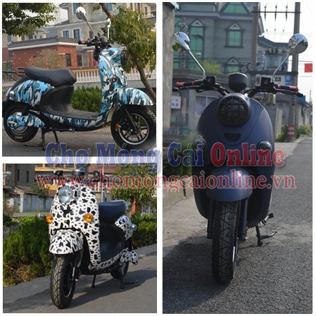 xe may dien nhap khau cao cap xd0013 6