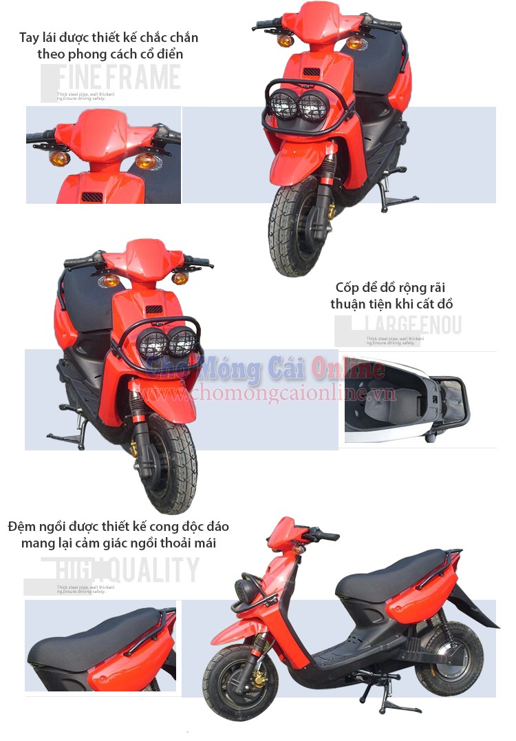 xe may dien the thao XD0016 1