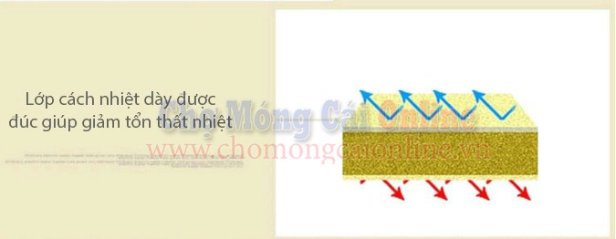 Binh nong lanh DSZF C5 1