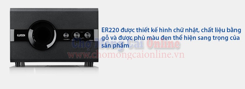 Loa EARSON (ER220) (3)