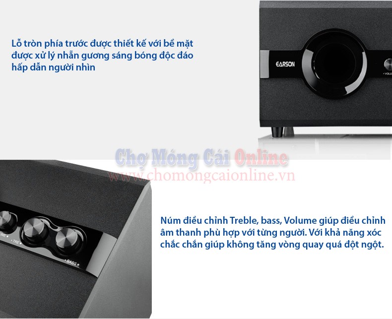 Loa EARSON (ER220) (4)