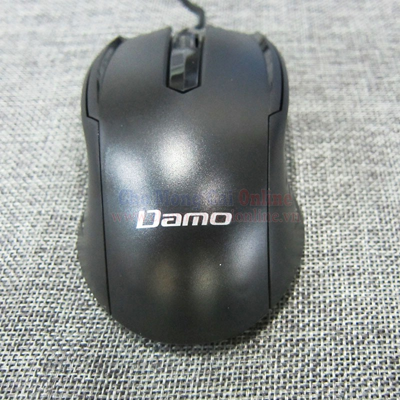 chuot may tinh damo cho mong cai online (9)