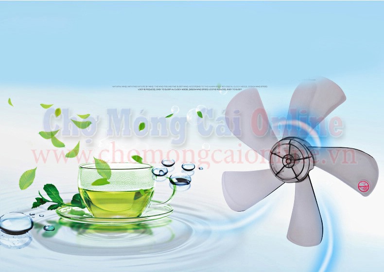 quat cay dieu khien tu xa (11)