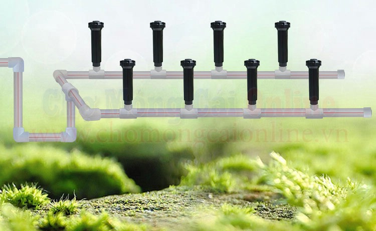 bec tuoi phun suong thong minh (2)