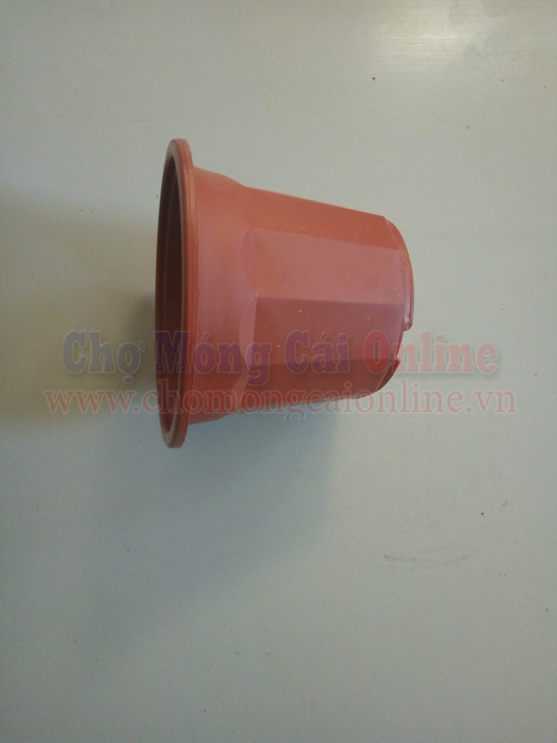 Chau nhua uom cau giong TBNN011 (4)