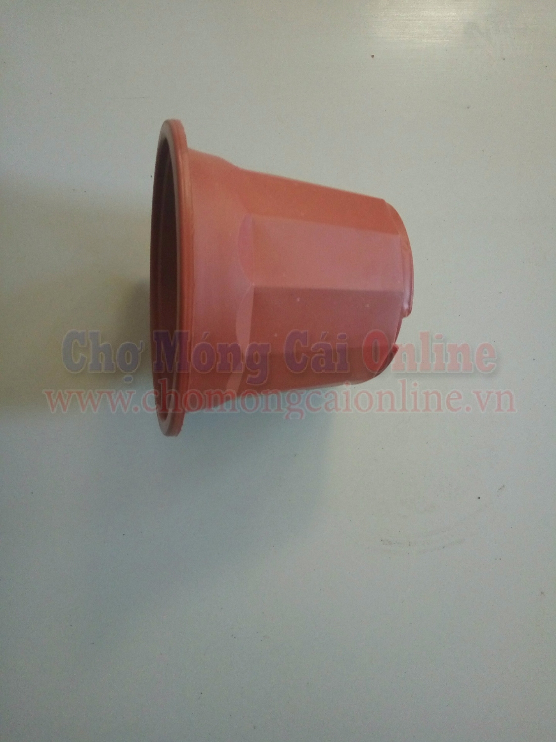 Chau nhua uom cau giong TBNN011 (6)