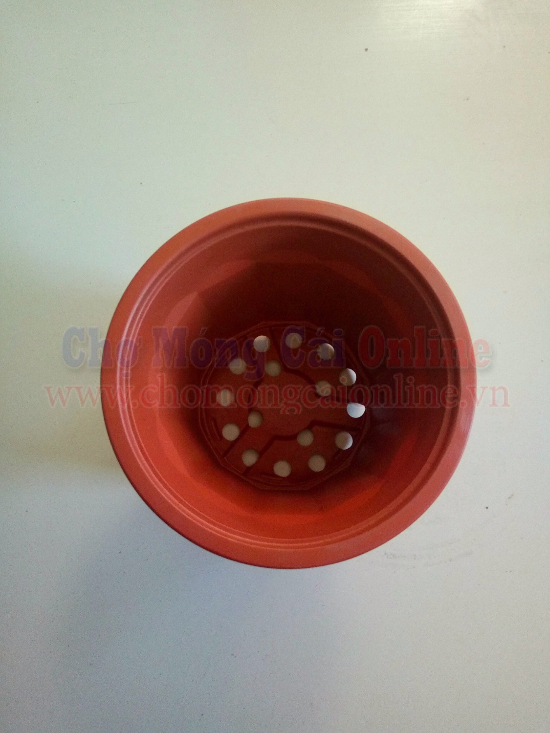 Chau nhua uom cau giong TBNN011 (7)